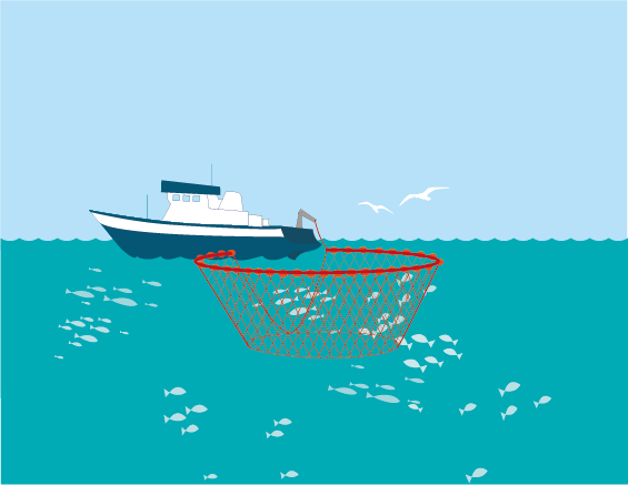 ISOLATION BATEAU PECHE CONCARNEAU BOLINCHEUR ISOLATION BATEAU PECHE CONCARNEAU BOLINCHEUR